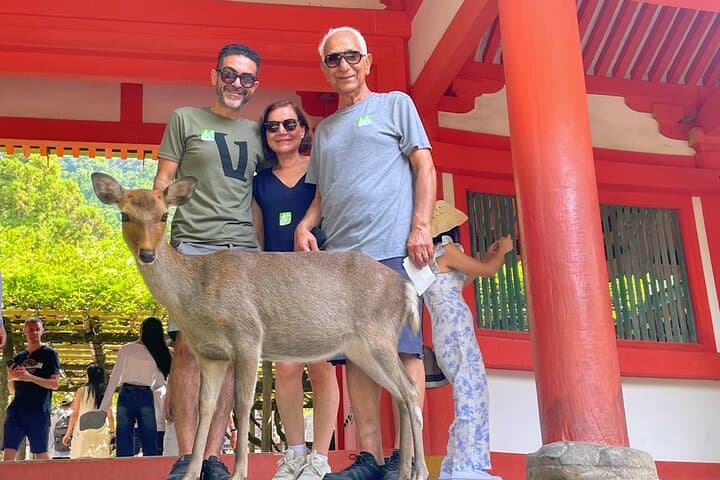 Morning Wonder World Heritage Nara Guided Tour — photo 13