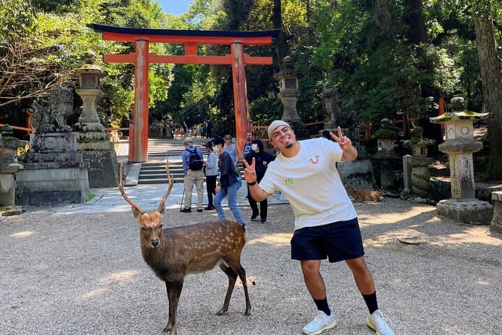 Morning Wonder World Heritage Nara Guided Tour — photo 4
