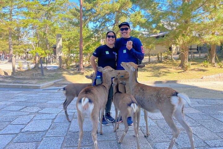 Morning Wonder World Heritage Nara Guided Tour — photo 16