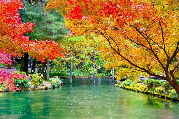 Kanazawa Half Day Private Tour - Castle, Garden, Geisha District — photo 8