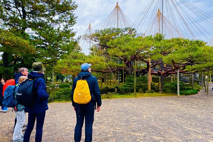 Kanazawa Half Day Private Tour - Castle, Garden, Geisha District — photo 4