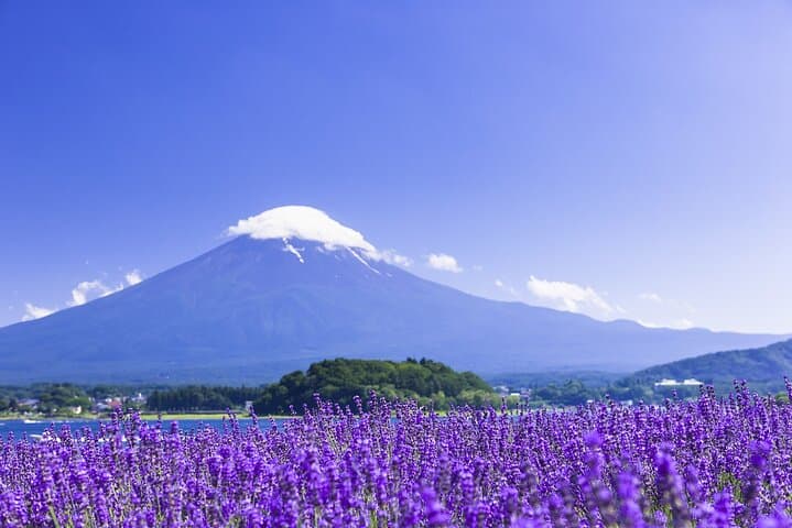 Tokyo: Mount Fuji Must-see Attractions One Day Sightseeing Tour — photo 5
