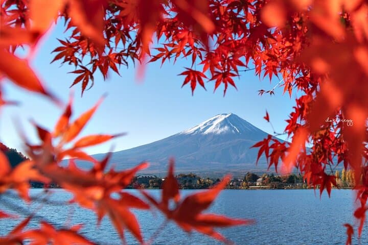 Mount Fuji Full Day Sightseeing Tour from Tokyo — photo 14