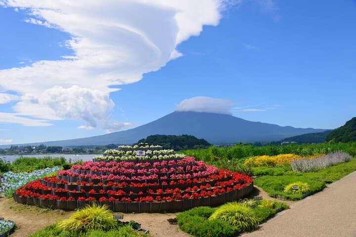 Mount Fuji Full Day Tour form Tokyo Lake Kawaguchi & Yamanaka — photo 17