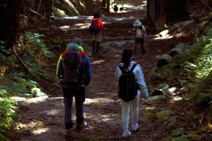 Hiking Kyoto's Highest Mountain: Unravel the Mystery of Mt. Atago — photo 19