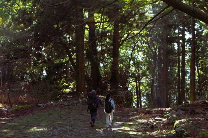 Hiking Kyoto's Highest Mountain: Unravel the Mystery of Mt. Atago — photo 17