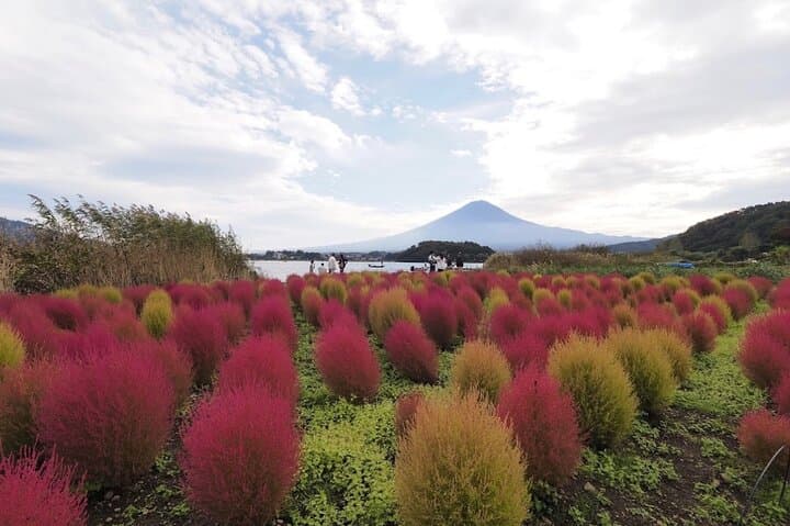 Mount Fuji Full Day Customized Private Tour with English Guide — photo 6