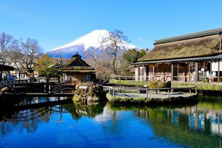 Mount Fuji Full Day Customized Private Tour with English Guide — photo 3