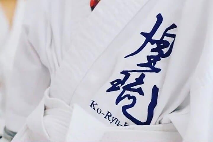 Experience Japanese Martial Arts Karate in Kagawa — photo 4