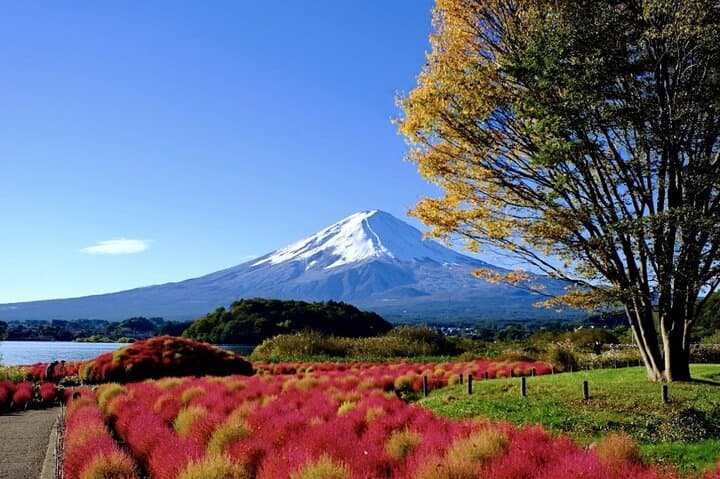 Mount Fuji Full Day Customized Private Tour with English Guide — photo 4