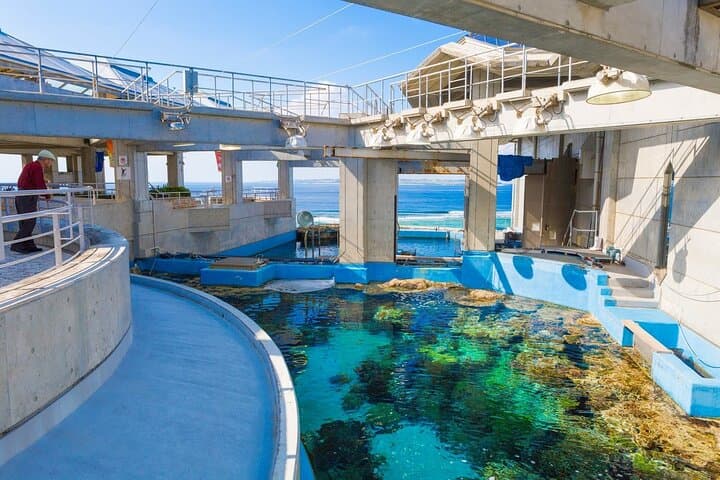 Okinawa HIP-HOP BUS B - 1 Course Tour (Okinawa Churaumi Aquarium) — photo 9