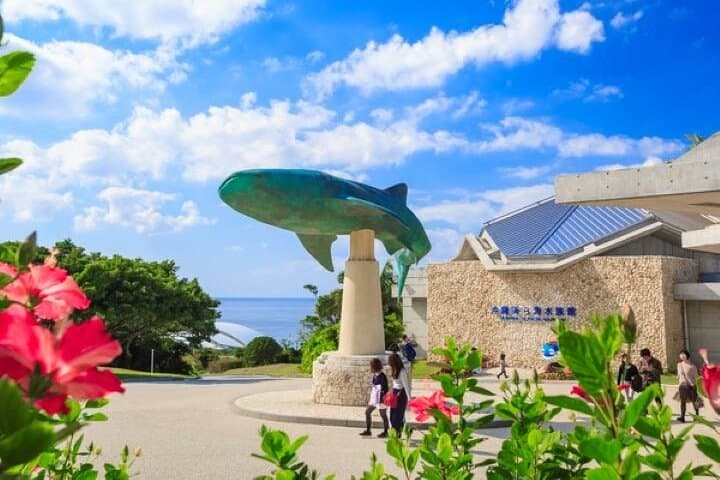 Okinawa HIP-HOP BUS B - 1 Course Tour (Okinawa Churaumi Aquarium) — photo 8
