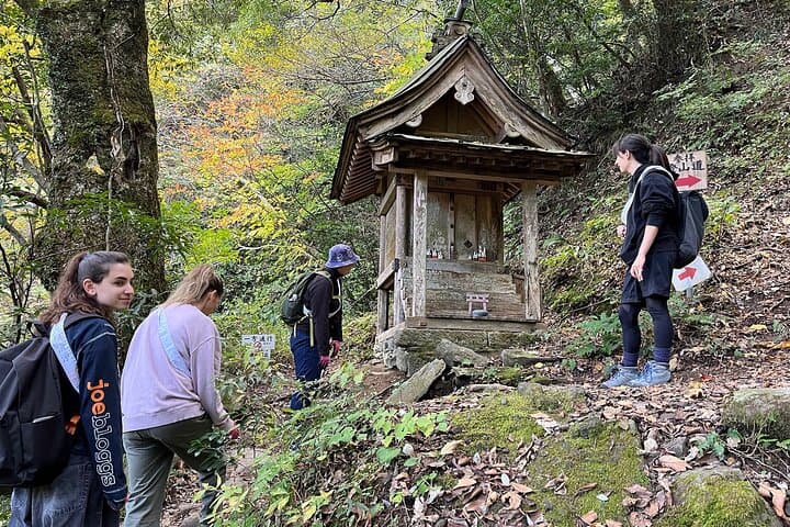 3 Days Guided Sightseeing in Satoyama — photo 19