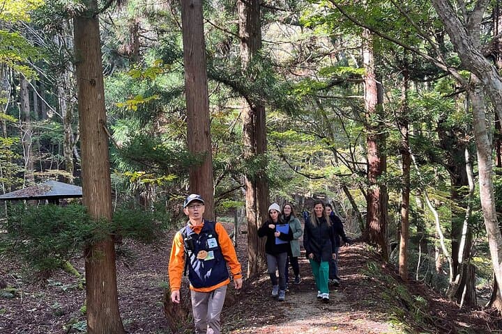 3 Days Guided Sightseeing in Satoyama — photo 11