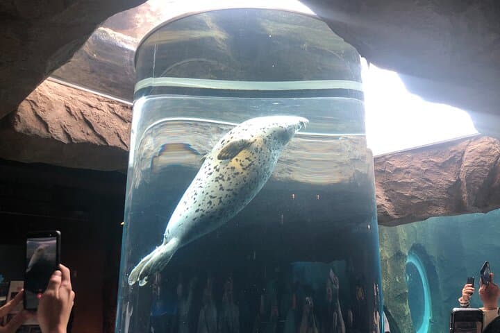 【Private Car】Asahiyama Zoo, Blue Pond, Shirahige Falls, Ningle Terrace (from Sapporo) — photo 4
