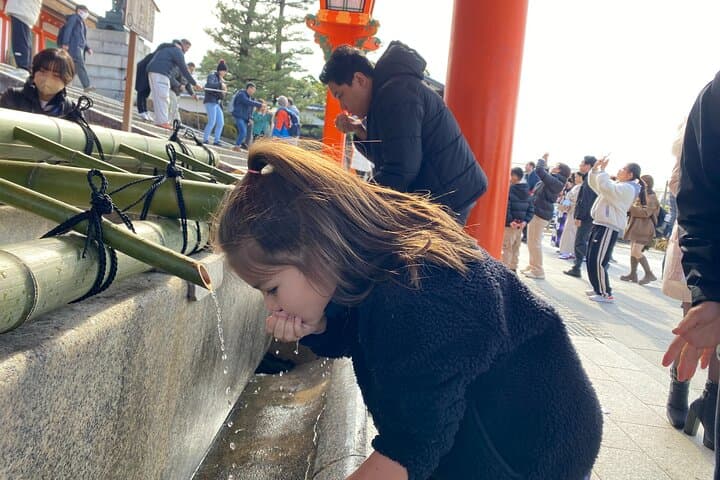 Kyoto 9hr Private Tour (Kobe Dep. ) with Licensed Guide — photo 13