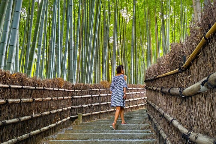 Kyoto: Arashiyama Backstreet & Hidden Temple Guided Tour — photo 4