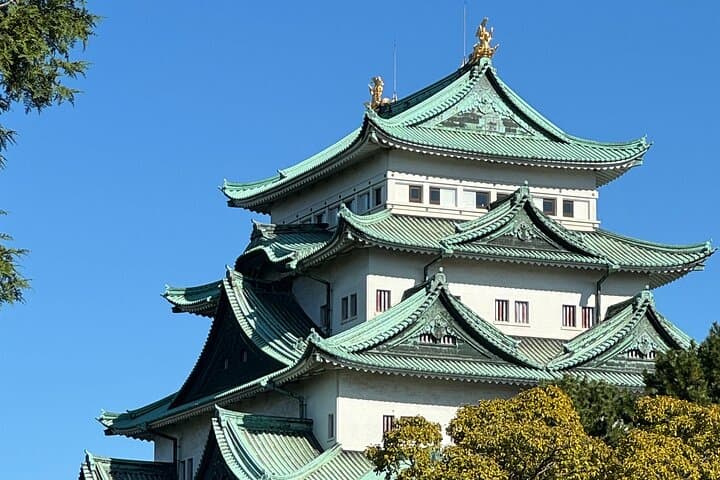 Nagoya Castle Private Guided Tour — photo 9