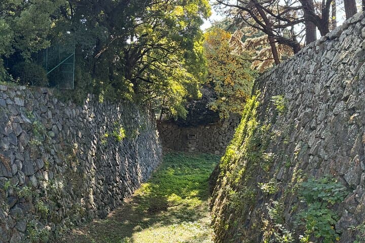 Nagoya Castle Private Guided Tour — photo 17