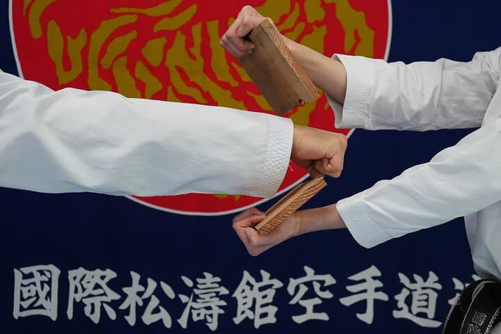 Karate Experience with the Shotokan Karate-do Instructor — photo 2