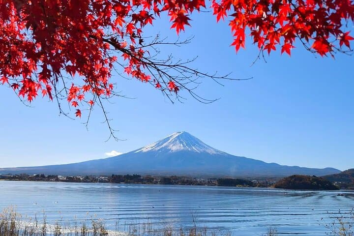 Mount Fuji and Lake Kawaguchi Private Day Trip From Tokyo — photo 1