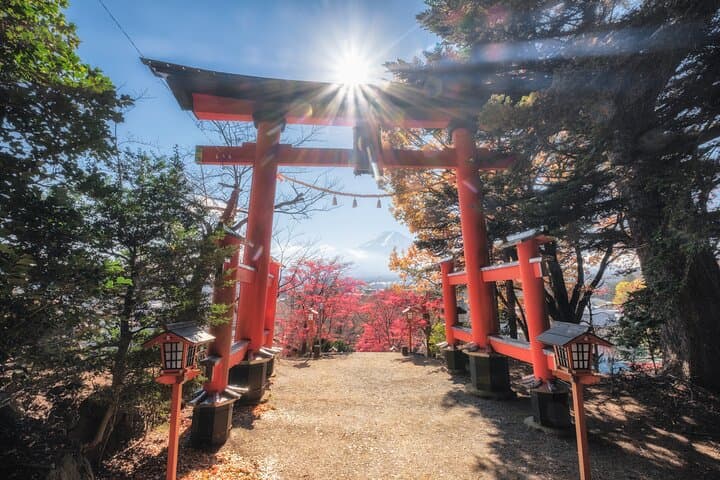 Mount Fuji and Lake Kawaguchi Private Day Trip From Tokyo — photo 3
