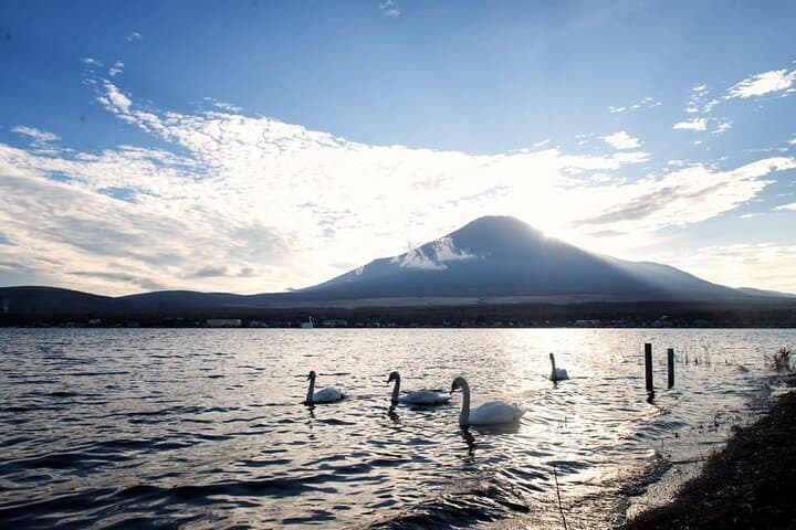 Mount Fuji and Lake Kawaguchi Private Day Trip From Tokyo — photo 5