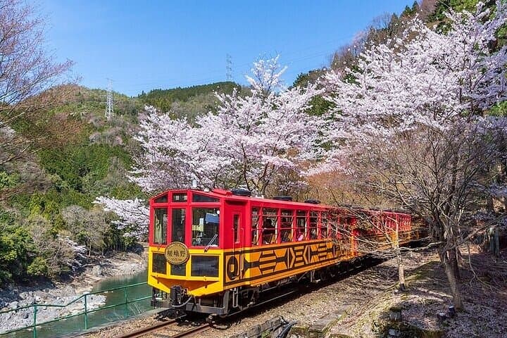 Kyoto Hozugawa River Boat Sagano Romantic Train Arashiyama Tour — photo 2