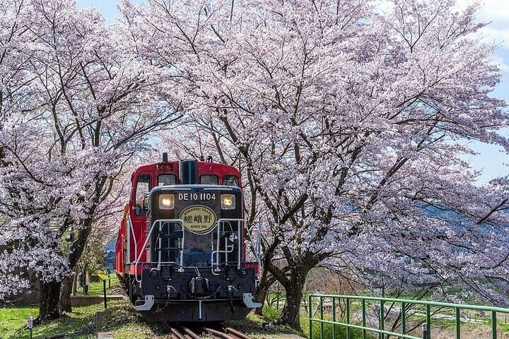 Kyoto Hozugawa River Boat Sagano Romantic Train Arashiyama Tour — photo 1