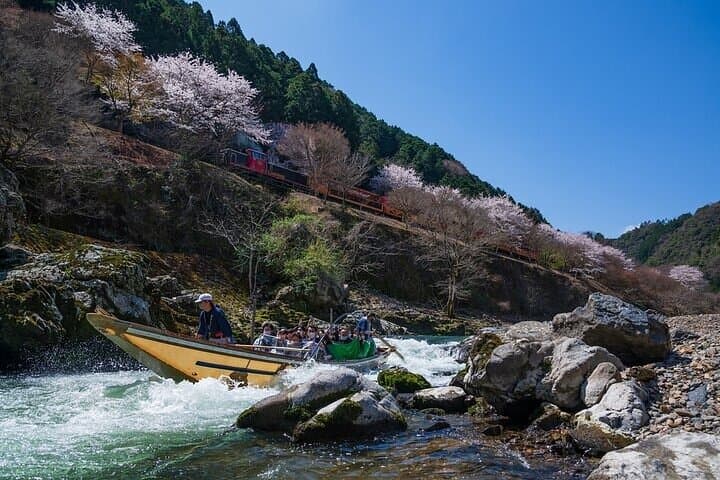 Kyoto Hozugawa River Boat Sagano Romantic Train Arashiyama Tour — photo 3