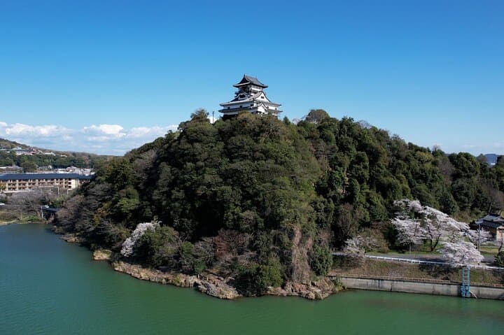 Day Trip Inuyama from Kyoto by Public Transportation — photo 3