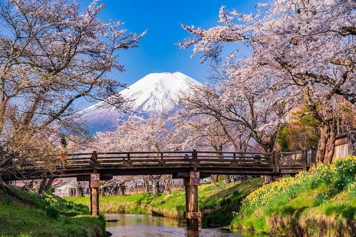 From Tokyo: Mount Fuji Sightseeing Full Day Trip — photo 13
