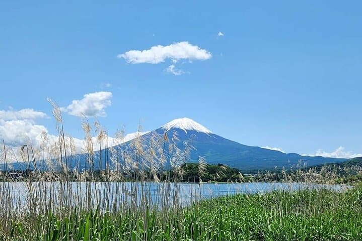 Mount Fuji Full Day Tour form Tokyo Lake Kawaguchi & Yamanaka — photo 19