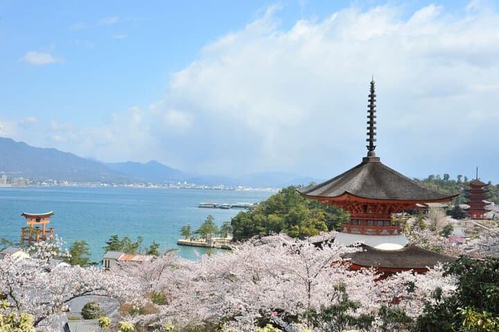 5 Day One Way Bus Trip to Fukuoka from Osaka via San'in — photo 16