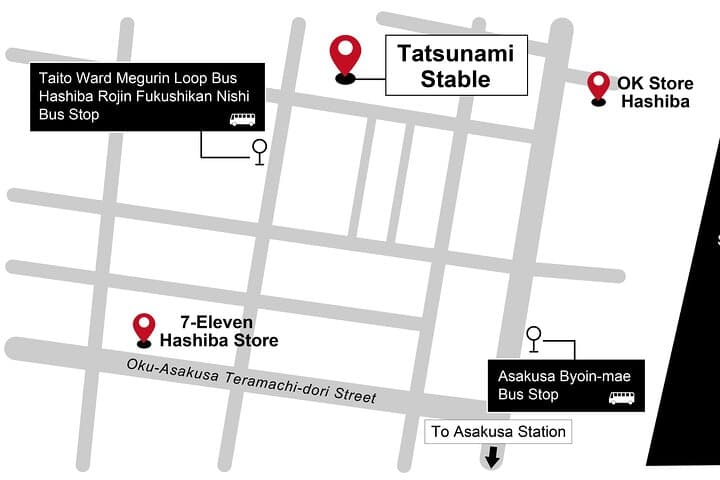 Sumo Practice Viewing Guided Tour and Photo with Sumo Wrestlers — photo 16