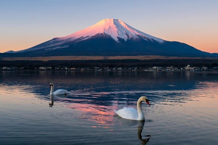 Tokyo: Mount Fuji One Day Trip Lake Kawaguchi & Lake Yamanaka — photo 5