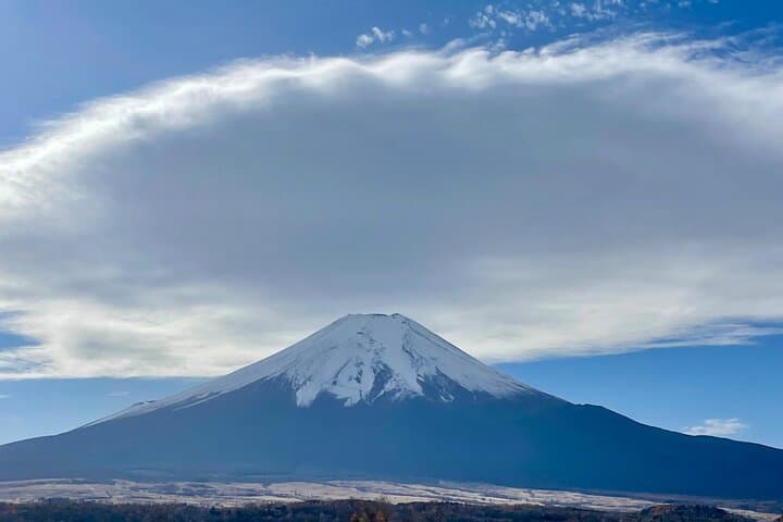 Mt fuji & Hakone customizable day tour w/ English speaking driver — photo 19
