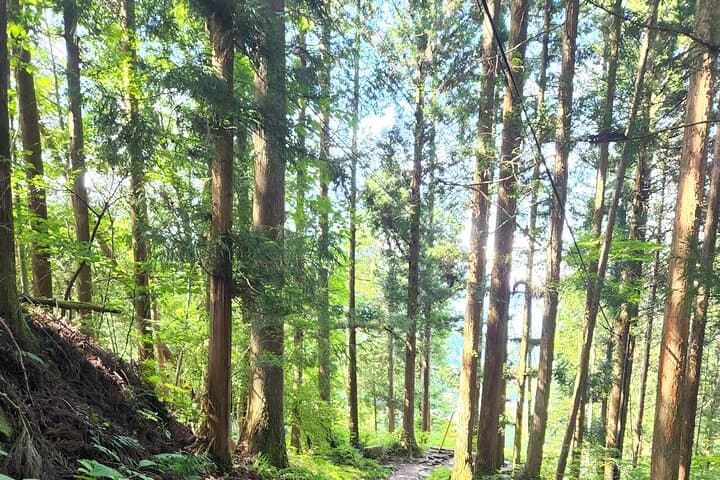 Nakasendo Post Town Trekking and Izakaya Hopping Tour — photo 6