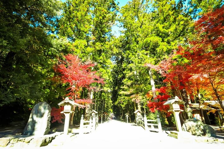 Discover Morimachi: Shizuoka’s Little Kyoto w/ Guide & Vehicle — photo 9