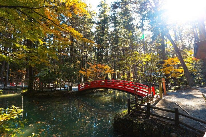 Discover Morimachi: Shizuoka’s Little Kyoto w/ Guide & Vehicle — photo 10