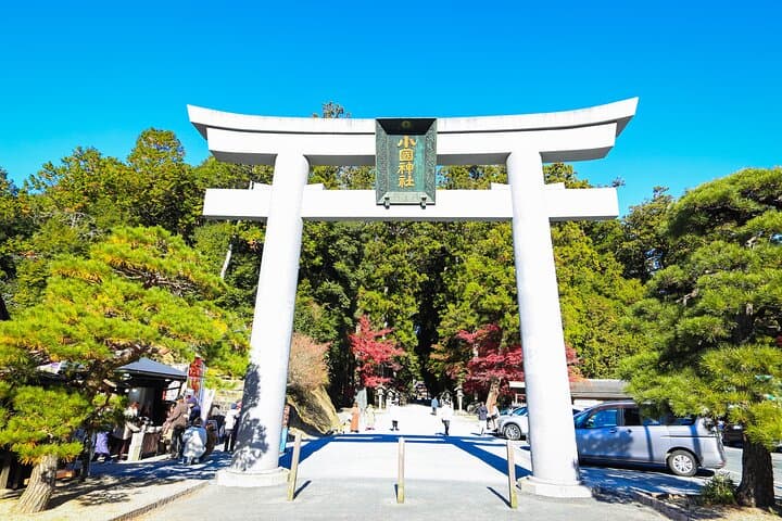 Discover Morimachi: Shizuoka’s Little Kyoto w/ Guide & Vehicle — photo 8