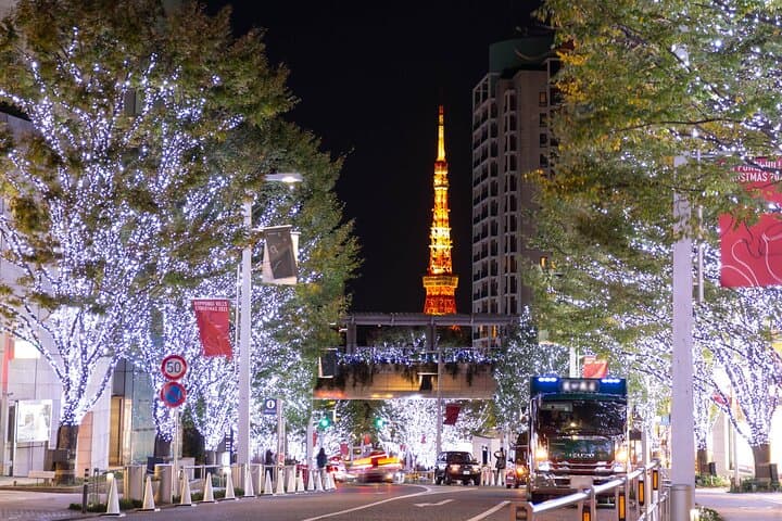 Private Tour in Tokyo 5 Cities and 10 Points Day or Night — photo 5