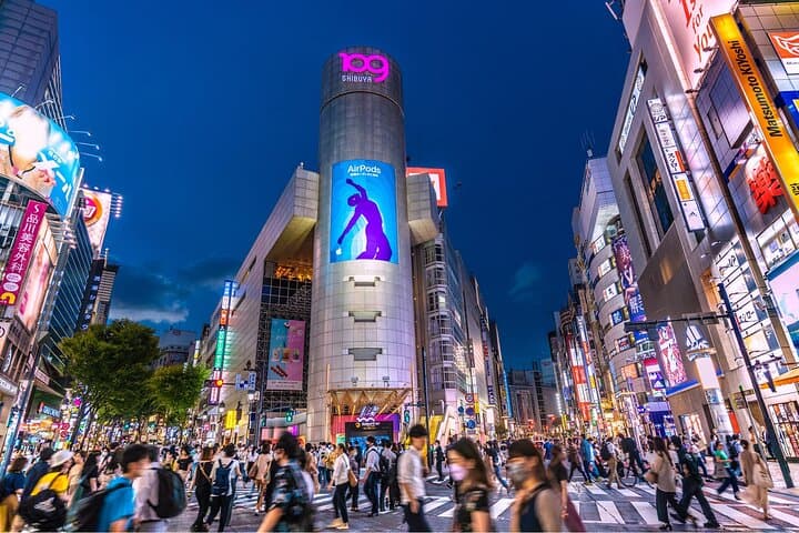 Private Tour in Tokyo 5 Cities and 10 Points Day or Night — photo 9