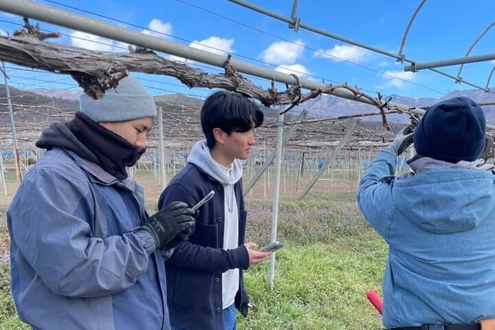 All Inclusive Winery Tour with View of Mt. Fuji — photo 3