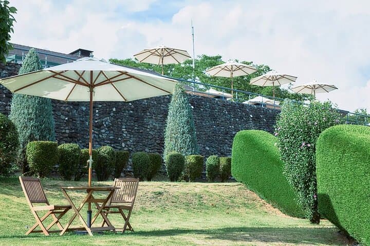 All Inclusive Winery Tour with View of Mt. Fuji — photo 9
