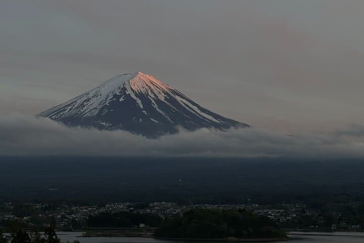 All Inclusive Winery Tour with View of Mt. Fuji — photo 12