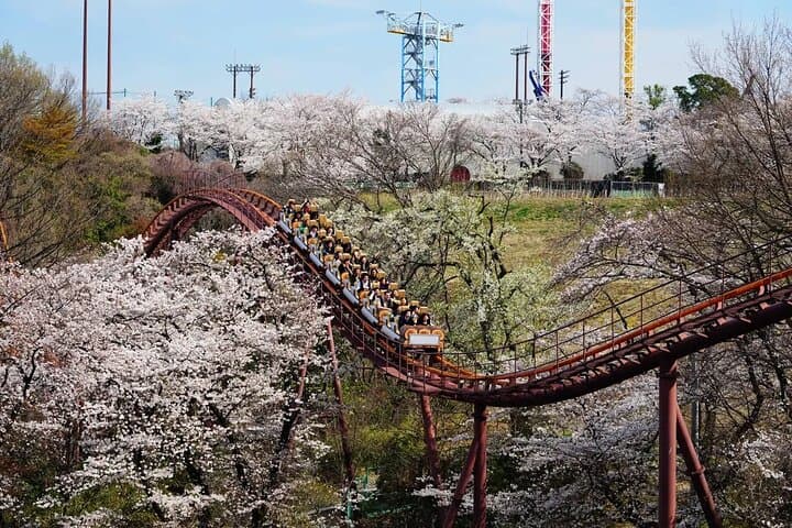 Yomiuriland One day Pass in Tokyo — photo 7