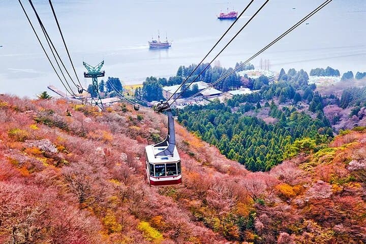 Mt. Fuji, Hakone, Owakudani, Lake Yamanaka Tour (Hakone Ropeway) — photo 10