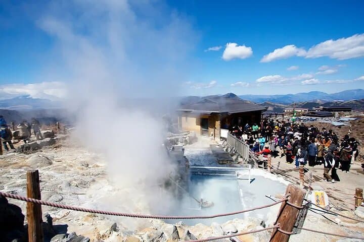 Mt. Fuji, Hakone, Owakudani, Lake Yamanaka Tour (Hakone Ropeway) — photo 15