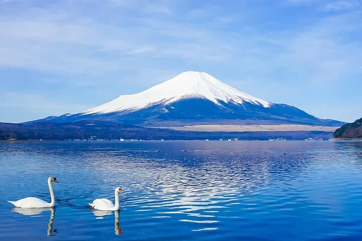 Mt. Fuji, Hakone, Owakudani, Lake Yamanaka Tour (Hakone Ropeway) — photo 18